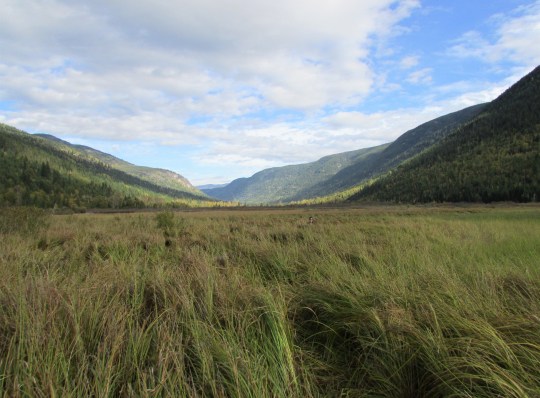 Lower Little Slocan Lake